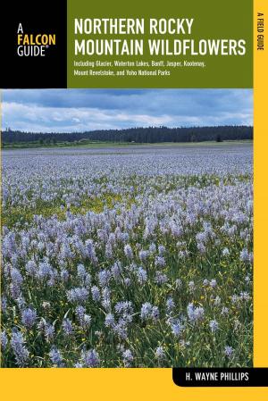 Cover of the book Northern Rocky Mountain Wildflowers by Robert Beard
