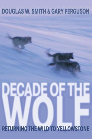 Book cover of Decade of the Wolf
