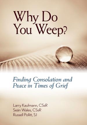 Cover of the book Why Do You Weep? by Daniel P. Horan, OFM