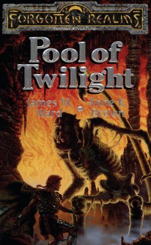 Cover of the book Pool of Twilight by Krista Gossett
