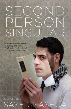 Book cover of Second Person Singular