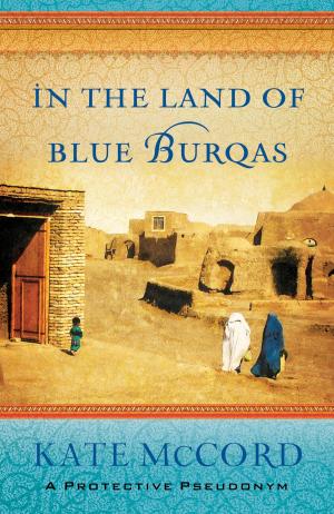 Cover of the book In the Land of Blue Burqas by Todd E. Wilson