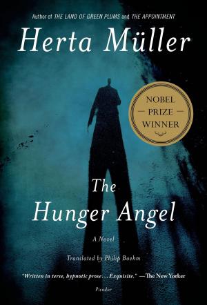 Cover of the book The Hunger Angel by Richard North Patterson