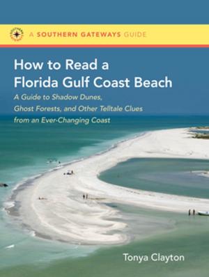 Cover of the book How to Read a Florida Gulf Coast Beach by Orrin H. Pilkey, Tracy Monegan Rice, William J. Neal