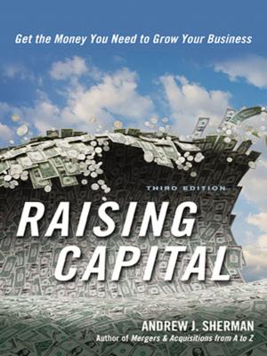 Cover of the book Raising Capital by Yasmin Davidds, Ann Bidou