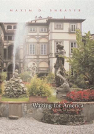 Cover of the book Waiting For America by Ameen Rihani, Geoffrey Nash, Christoph Schumann, Layla Al Maleh, Youssef Choueiri, Nathan C. Funk, Hani Bawardi, Ameen Albert Rihani, Waïl S. Hassan