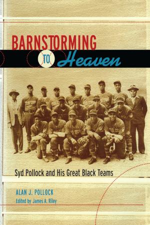 bigCover of the book Barnstorming to Heaven by 