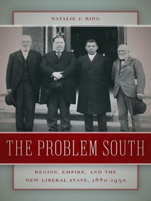 Cover of the book The Problem South by John Chalmers Vinson