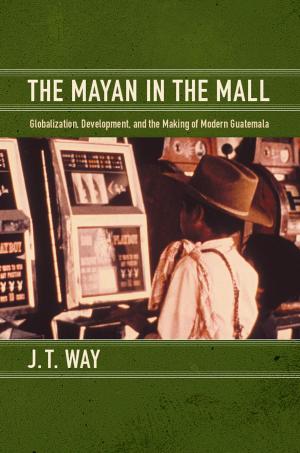 Cover of the book The Mayan in the Mall by Leela Gandhi, Julia Adams, George Steinmetz