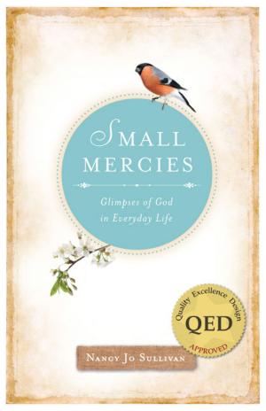 Cover of the book Small Mercies by Joe Paprocki, DMin