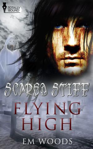 Cover of the book Flying High by SA Welsh