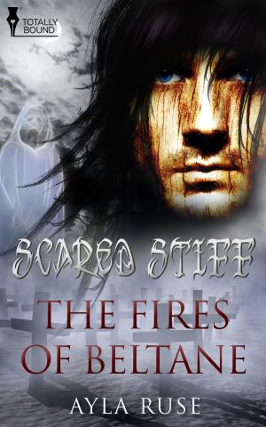 Book cover of The Fires of Beltane