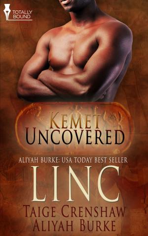 Cover of the book Linc by Belinda Burke