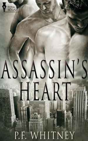 Cover of the book Assassin's Heart by A.J. Llewellyn, Serena Yates