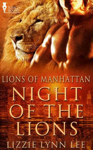 Cover of the book Night of the Lions by Wendy Stone