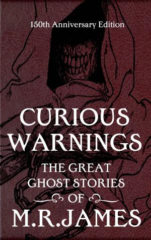 bigCover of the book Curious Warnings by 