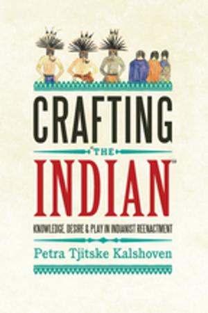 Cover of the book Crafting 'The Indian' by Katrien Pype