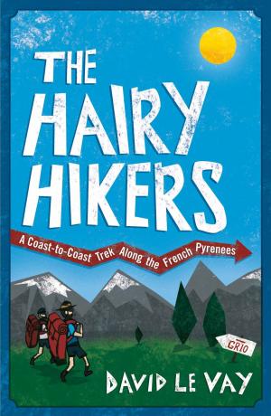 Cover of the book The Hairy Hikers: A Coast-to-Coast Trek Along the French Pyrenees by Richard Guise