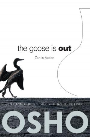 Cover of The Goose Is Out
