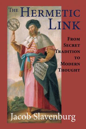 Cover of the book The Hermetic Link by Frank Desmedt