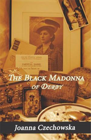 Book cover of The Black Madonna of Derby
