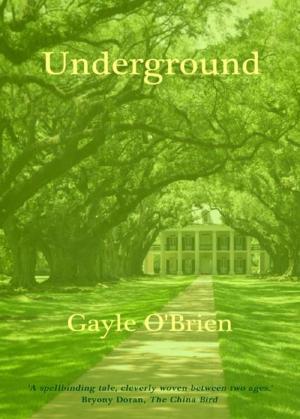 Cover of the book Underground by CM Thompson