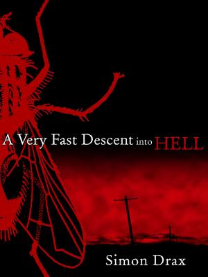 Cover of the book A Very Fast Descent into Hell by Harry McDonald