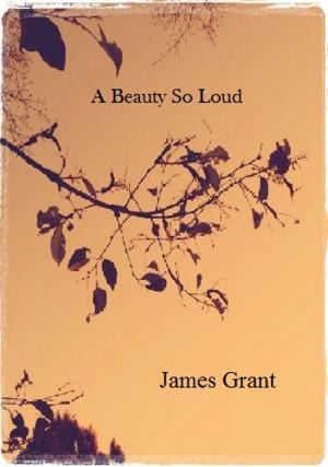 Book cover of A Beauty So Loud