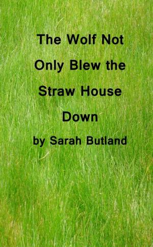 Book cover of The Wolf Not Only Blew the Straw House Down