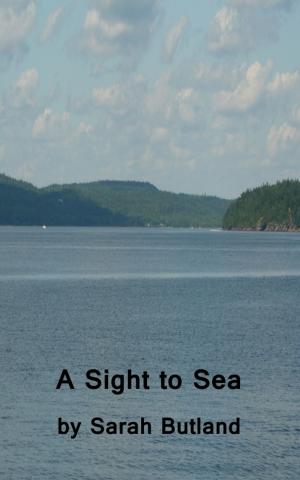 Cover of the book A Sight to Sea by Rebecca Shea