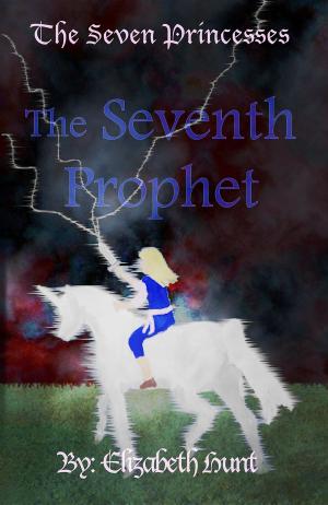 bigCover of the book The Seven Princesses by 