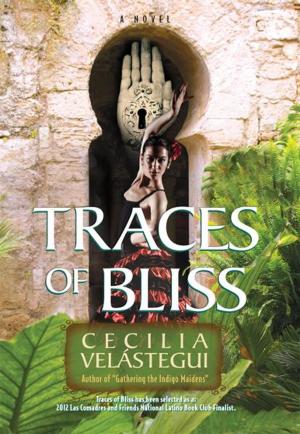 Cover of the book Traces of Bliss by Terrence747