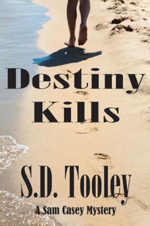 Cover of the book Destiny Kills by Dan Ames