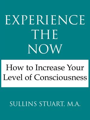 Cover of Experience the Now: How to Increase Your Level of Consciousness