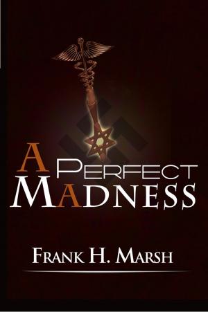 Book cover of A Perfect Madness