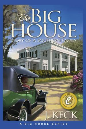 Book cover of The Big House