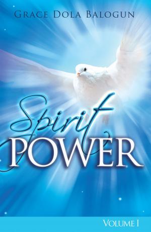Book cover of The Spirit Power Volume I