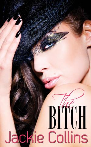 Cover of the book The Bitch by LK Hunsaker
