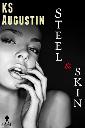 Cover of the book Steel & Skin by Elizabeth Parker