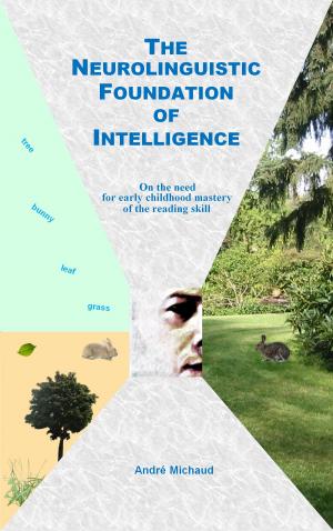 Book cover of The Neurolinguistic Foundation of Intelligence