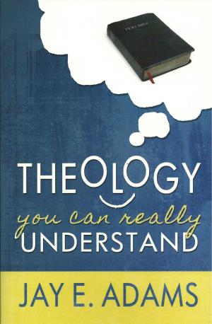 Book cover of Theology You Can Really Understand
