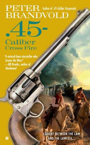 Cover of the book .45-Caliber Cross Fire by J.D. Tyler