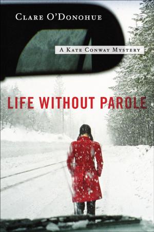 Cover of the book Life Without Parole by Roo I MacLeod
