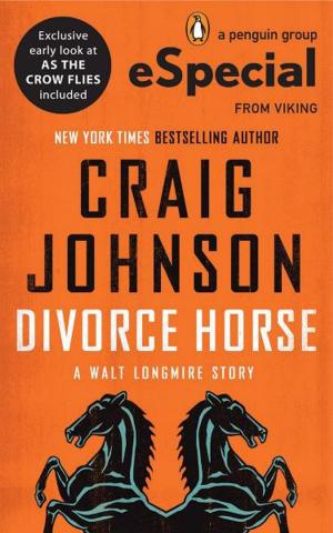 bigCover of the book Divorce Horse by 