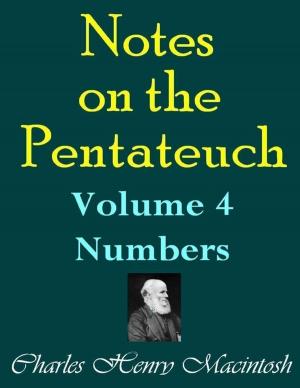 Cover of the book Notes on the Pentateuch - Volume 4: Numbers by Douglas Christian Larsen
