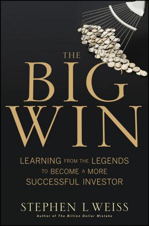Cover of the book The Big Win by Perumal Nithiarasu, Roland W. Lewis, Kankanhalli N. Seetharamu