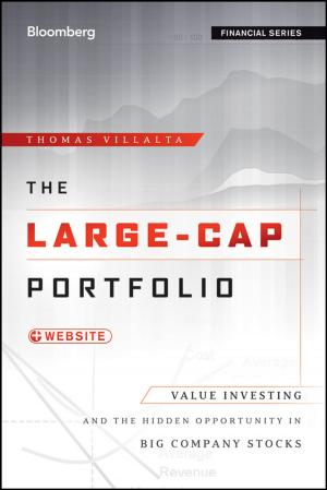Cover of the book The Large-Cap Portfolio by Helen Whitten