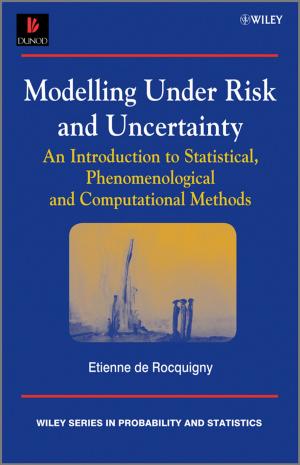 Cover of the book Modelling Under Risk and Uncertainty by Michael D. Archer