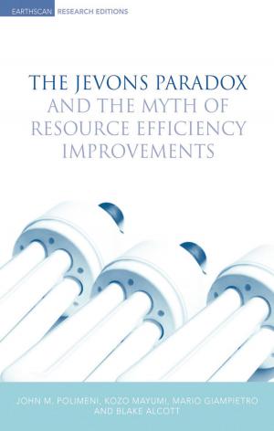 Book cover of The Jevons Paradox and the Myth of Resource Efficiency Improvements