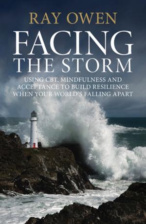 Cover of the book Facing the Storm by Ntieyong U. Akpan